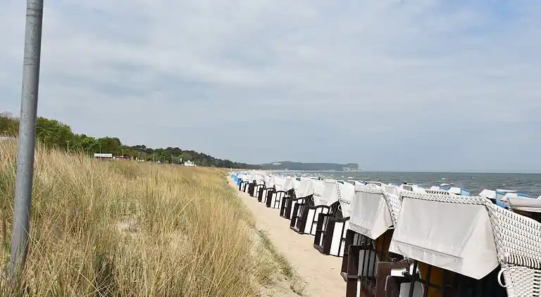 Apartment in Dumsevitz