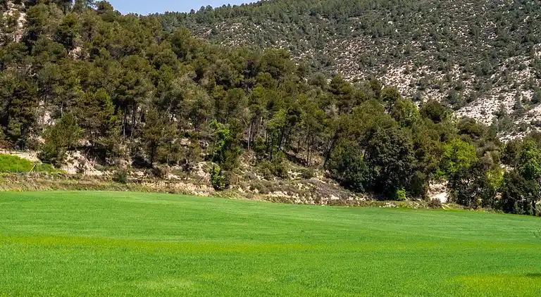 Cottage in Argençola
