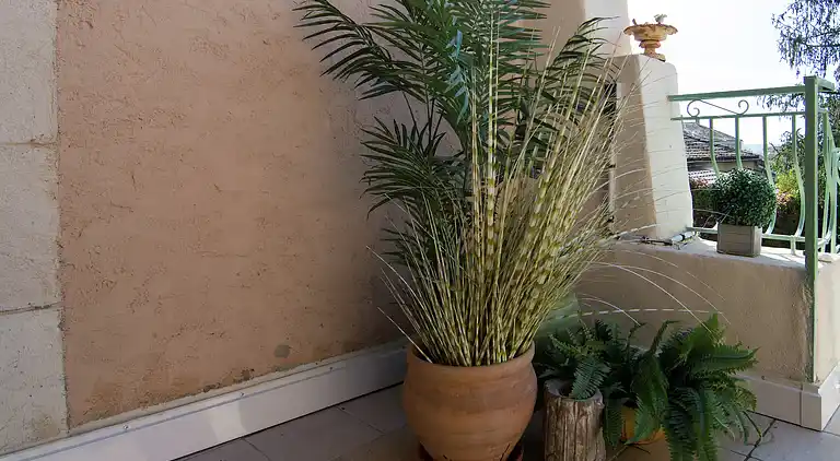 Holiday home in Lignan-sur-Orb