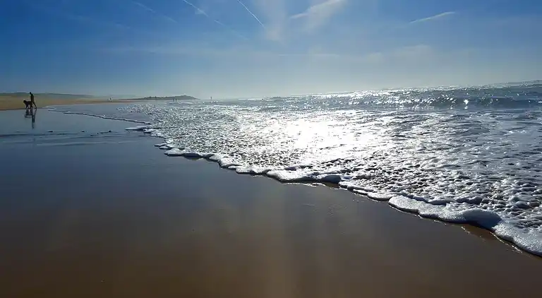 Holiday home in Vielle-Saint-Girons