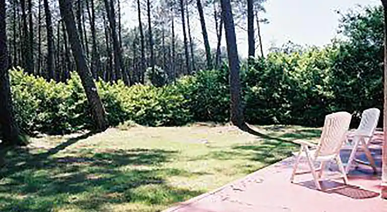 Holiday home in Vielle-Saint-Girons