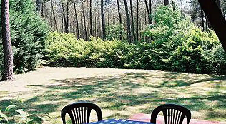 Holiday home in Vielle-Saint-Girons