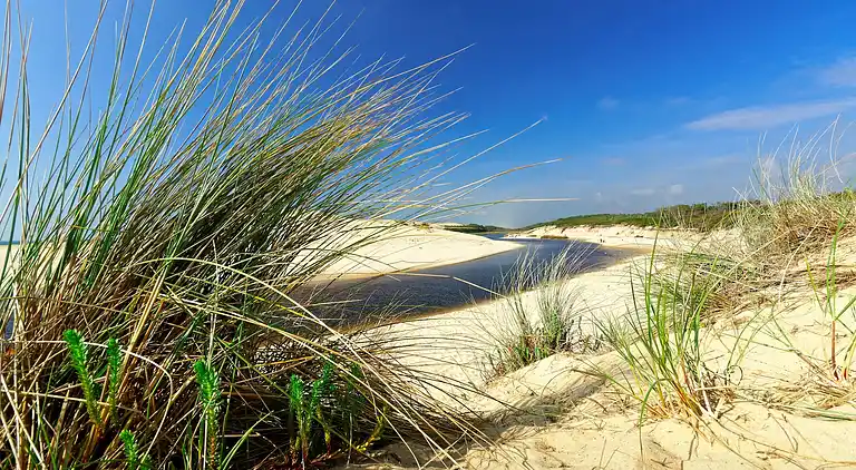 Holiday home in Vielle-Saint-Girons