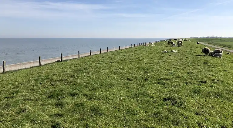 Chalet in Hippolytushoef