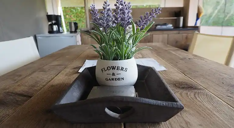 Holiday home in Oosterend Terschelling