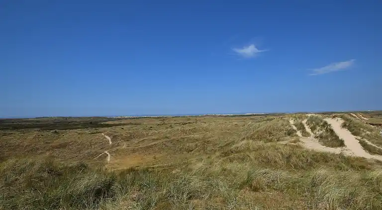 Holiday home in Oosterend Terschelling