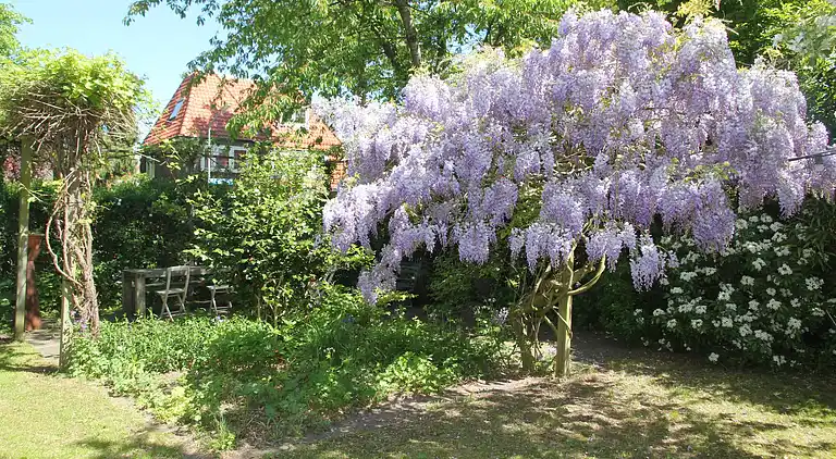 Sommerhus i Hilversum