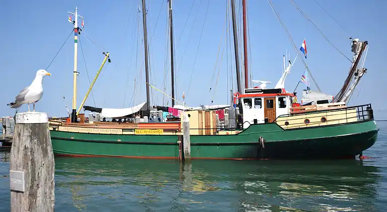 Holiday home in Oosterend Terschelling