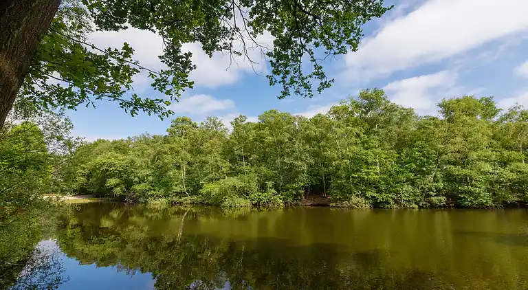 Vakantiehuis in Bergentheim