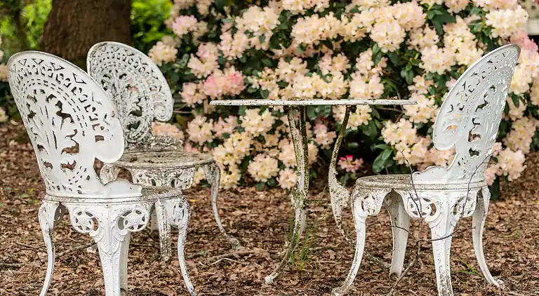 Vakantiehuis in Bergentheim