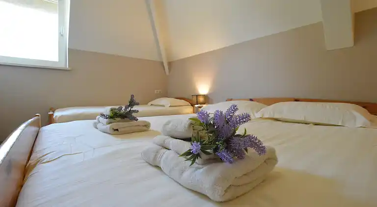 Semesterbostad i Genemuiden