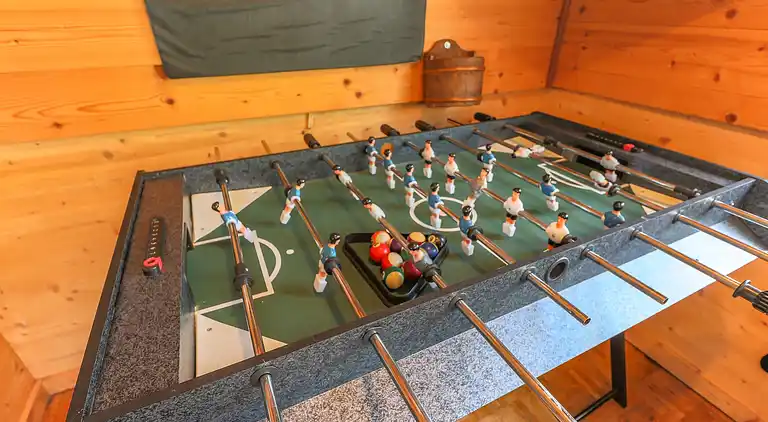 Apartment in Mittersill