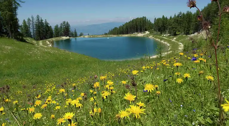 Apartment in Seelach