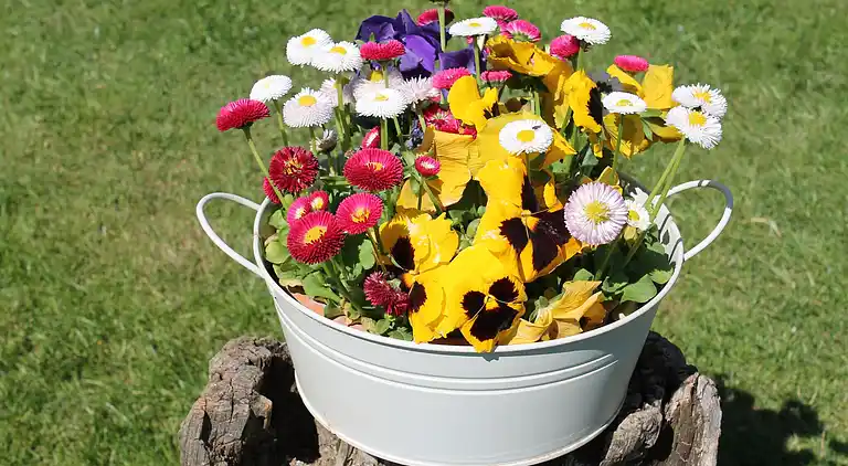 Apartment in Brodhagen