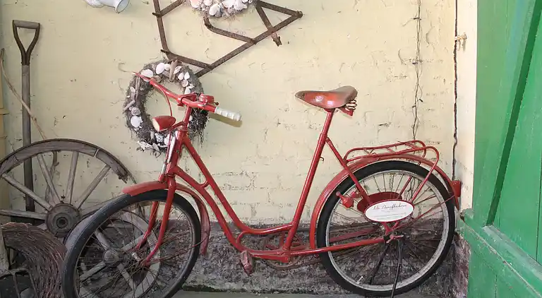 Appartement in Damgarten