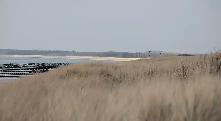 Ferielejlighed i Ahrenshoop