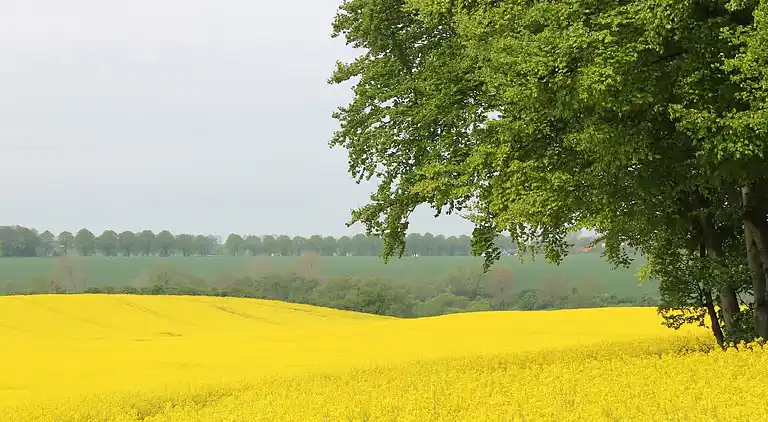 Apartment in Brodhagen
