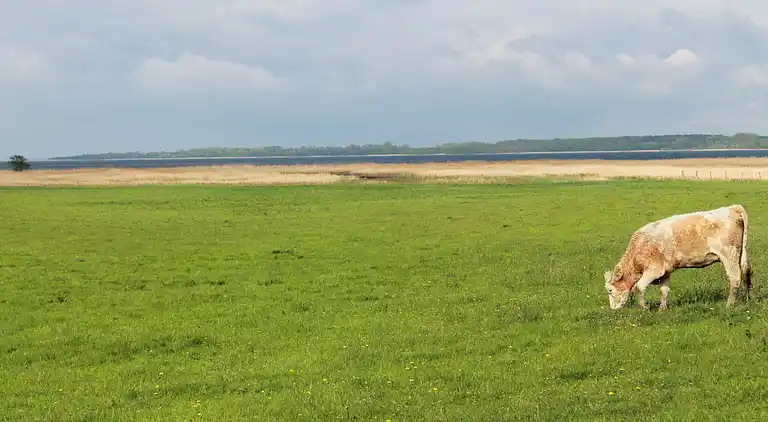 Apartment in Brodhagen