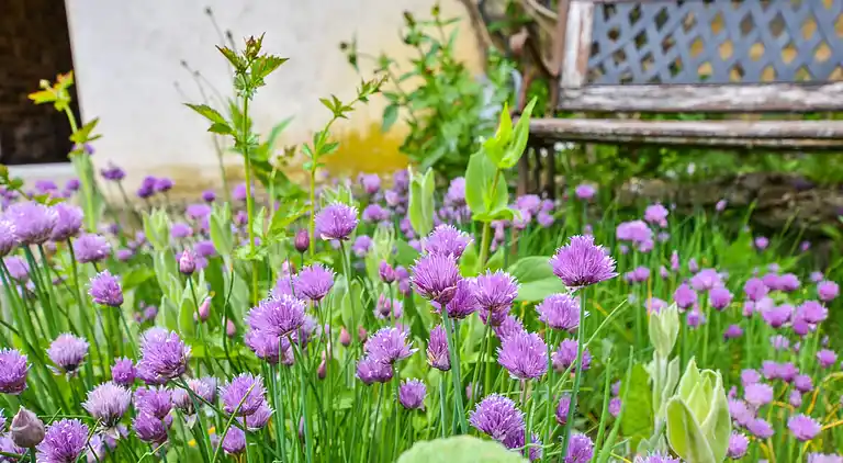 Holiday home in Teilhet