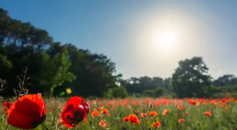 Holiday home in Saint-Antonin-du-Var