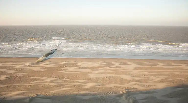 Ferielejlighed i Blankenberge