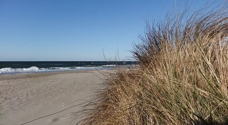 Bungalow i Reddelich