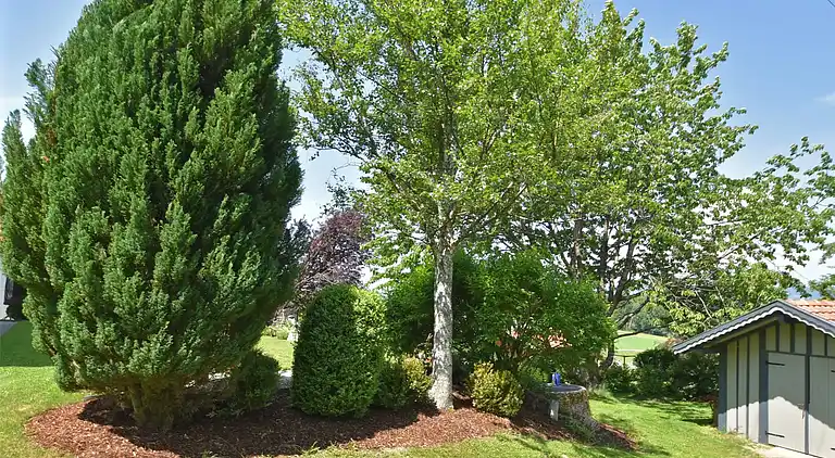 Ferielejlighed i Dorn