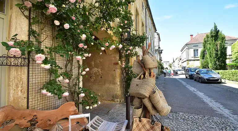 vakantiehuis in Brouchaud