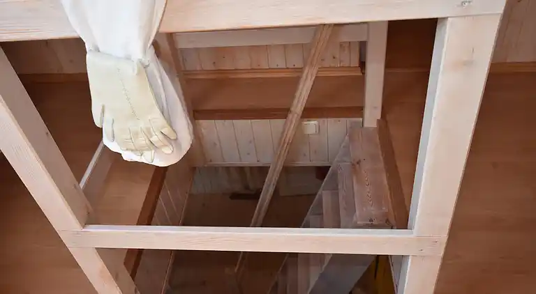 Appartement in Damgarten