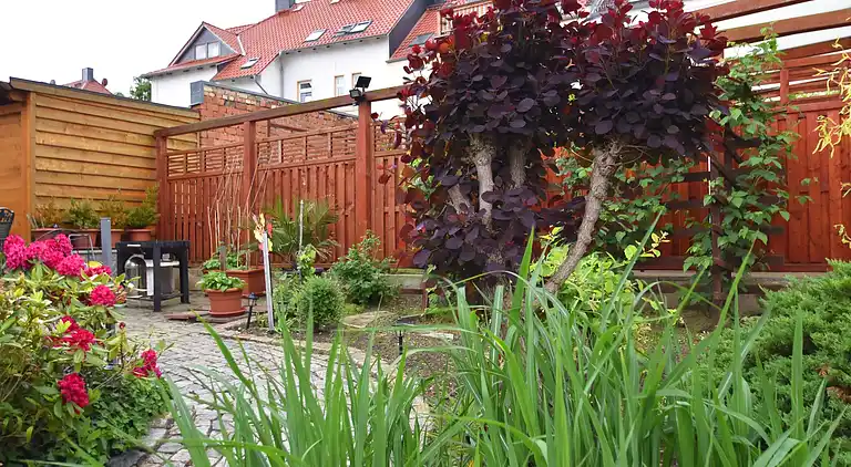 Apartment in Timmenrode