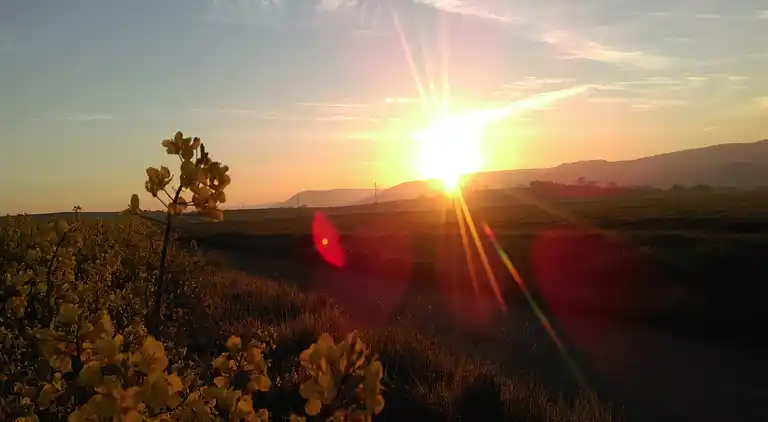 Apartment in Dreislar