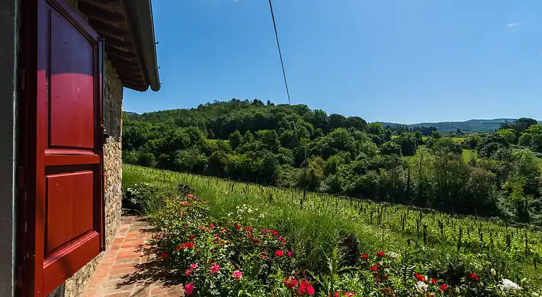Holiday home in Greve in Chianti