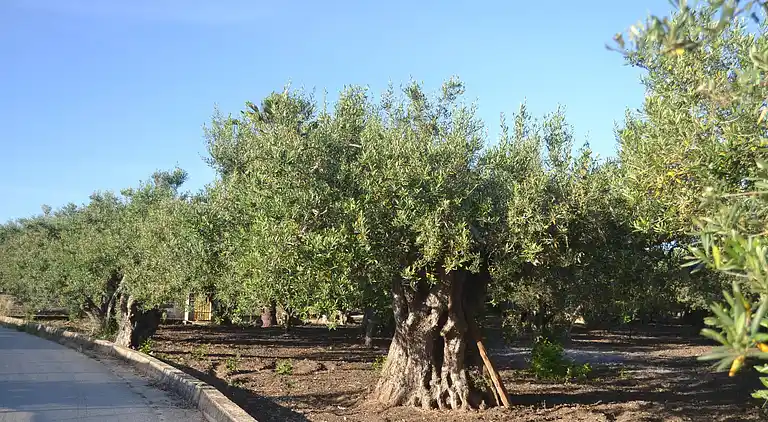 Vakantiehuis in Sciacca