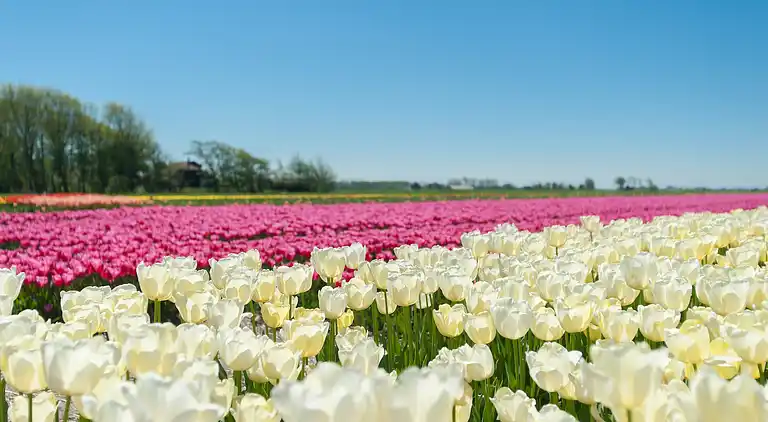 Holiday home in Bergen