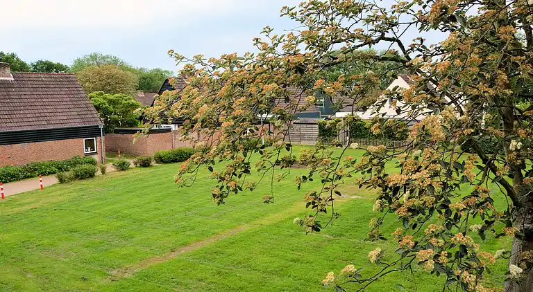 Sommerhus i Zuid-Holland