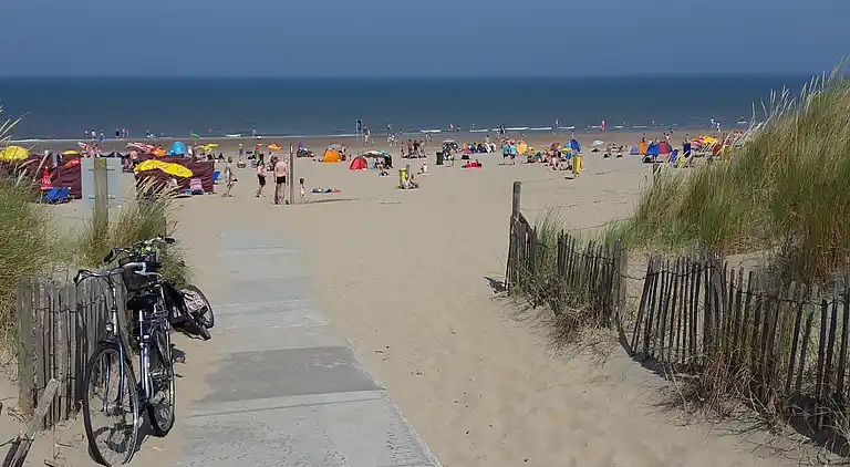 Sommerhus i Zuid-Holland