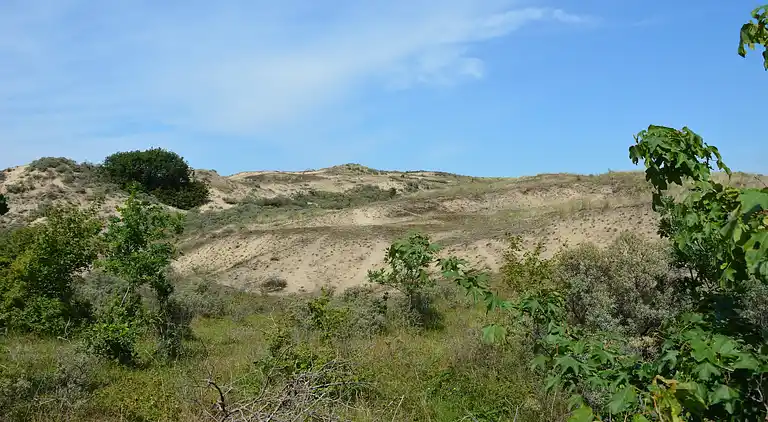 Sommerhus i Zuid-Holland