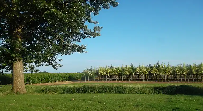 Holiday home in Kesteren