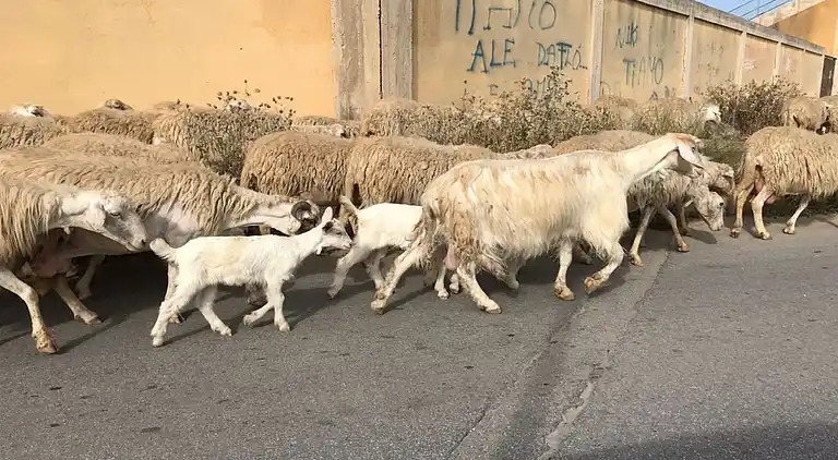 Casa vacanze in Buseto Palizzolo