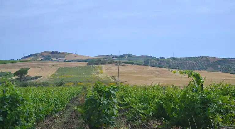 Casa vacanze in Buseto Palizzolo