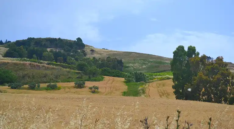 Casa vacanze in Buseto Palizzolo