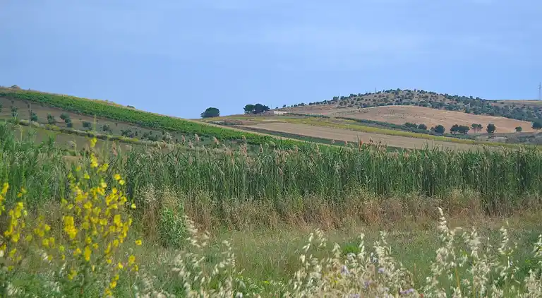 Casa vacanze in Buseto Palizzolo