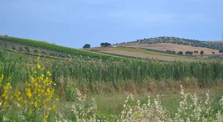Casa vacanze in Buseto Palizzolo