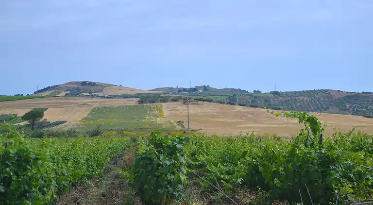 Casa vacanze in Buseto Palizzolo