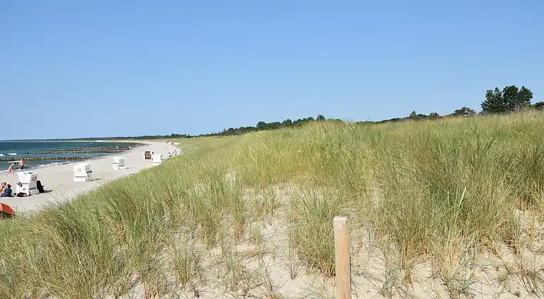 Apartment in Buschenhagen