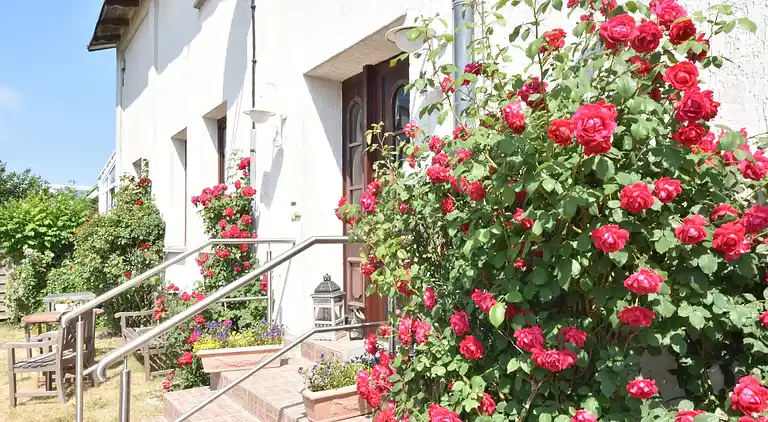 Ferielejlighed i Wendelstorf