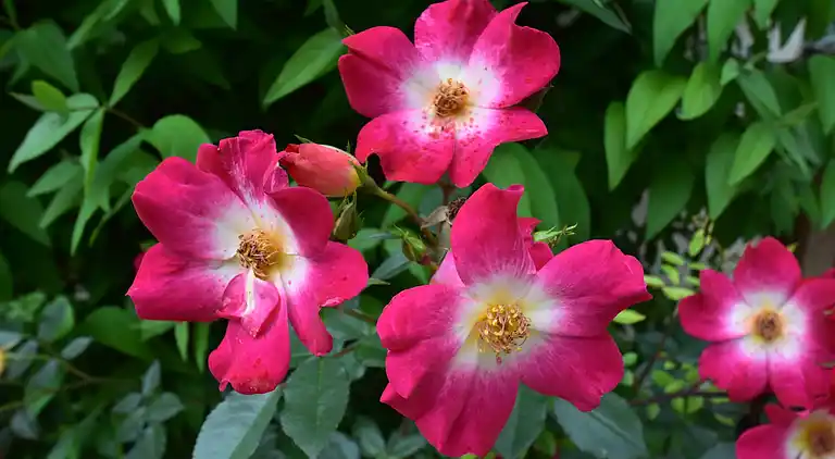 Holiday home in Loubejac