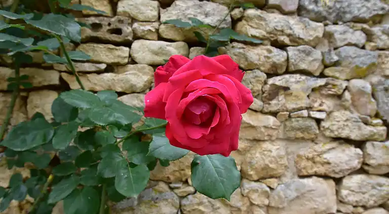 Holiday home in Loubejac