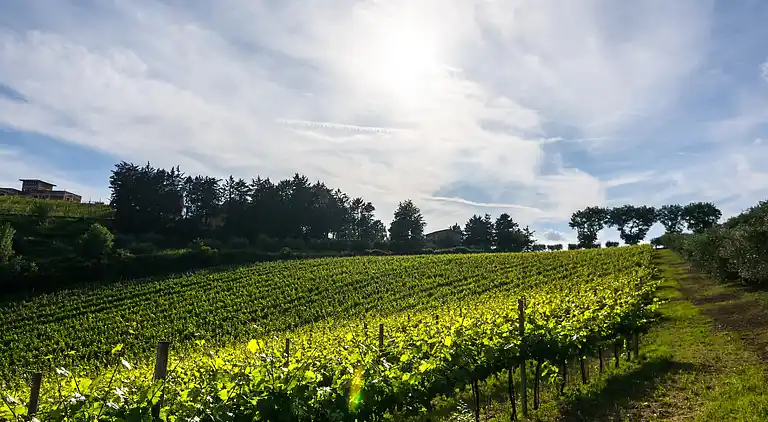 Herregård i Ramazzano - Le Pulci