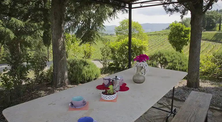 Apartment in Radda in Chianti